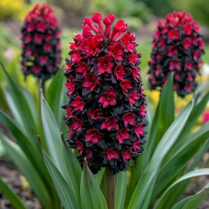 Гиацинт Джем Стоун купить по цене от 2099р. в интернет-магазине «Посадика» с доставкой почтой в в Почепе и по всей России – [изображение №1].